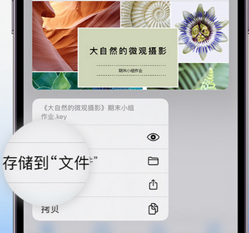 临夏县apple维修中心分享iPhone文件应用中存储和找到下载文件