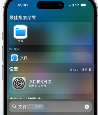 临夏县apple维修中心分享iPhone文件应用中存储和找到下载文件 