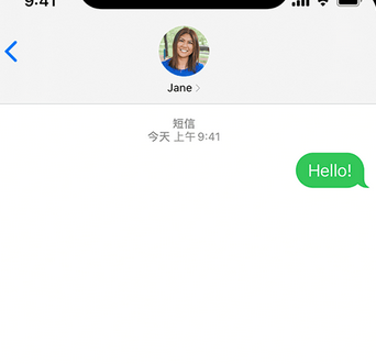 临夏县apple维修iPhone上无法正常发送iMessage信息