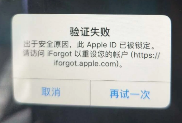 临夏县iPhone维修分享iPhone上正常登录或使用AppleID怎么办 