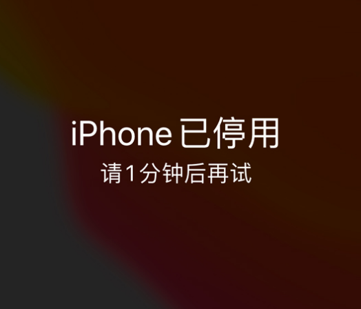 临夏县苹果手机维修分享:iPhone 显示“不可用”或“已停用”怎么办？还能保留数据吗？ 