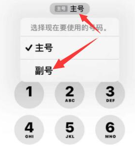 临夏县苹果14维修店分享iPhone 14 Pro Max使用副卡打电话的方法 