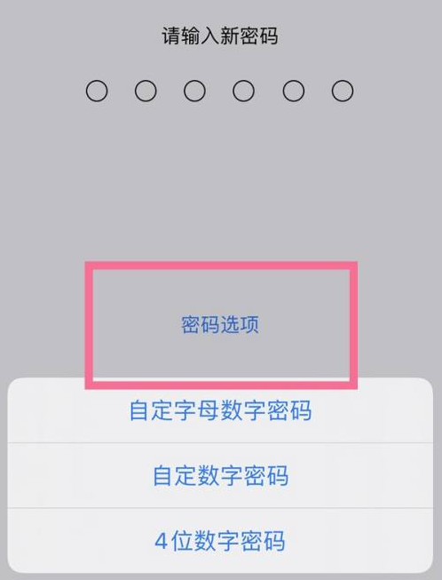 临夏县苹果14维修分享iPhone 14plus设置密码的方法 