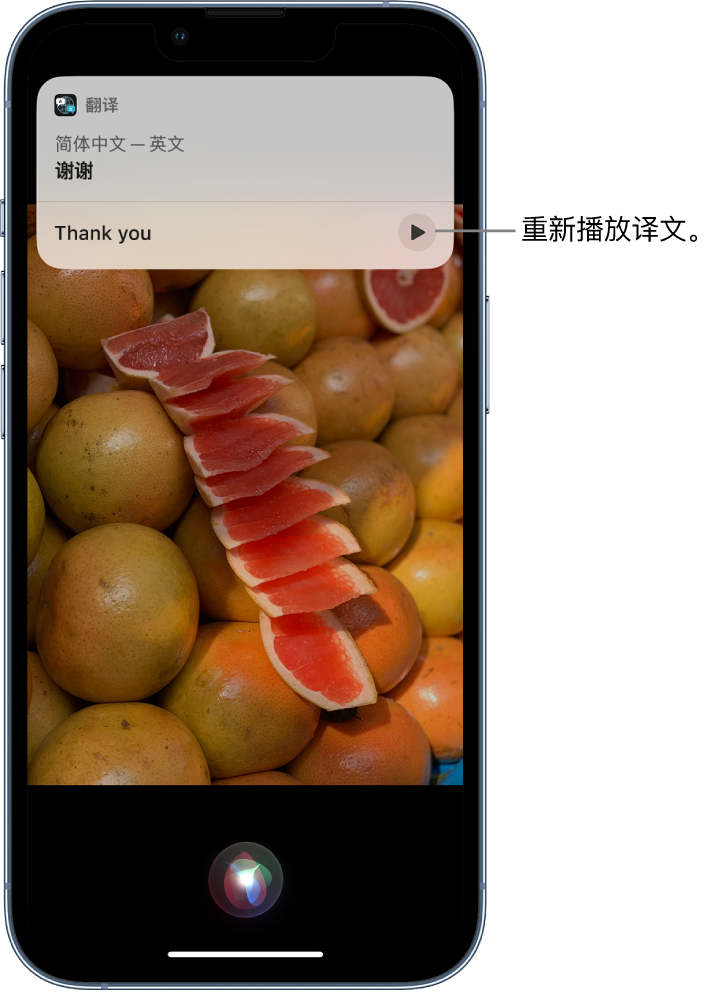 临夏县苹果14维修分享 iPhone 14 机型中使用 Siri：了解 Siri 能帮你做什么 