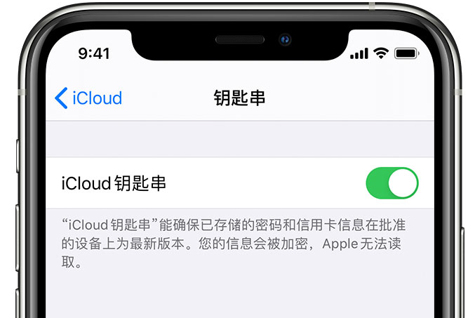 临夏县苹果手机维修分享在 iPhone 上开启 iCloud 钥匙串之后会储存哪些信息 