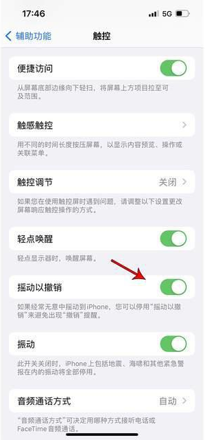 临夏县苹果手机维修分享iPhone手机如何设置摇一摇删除文字 